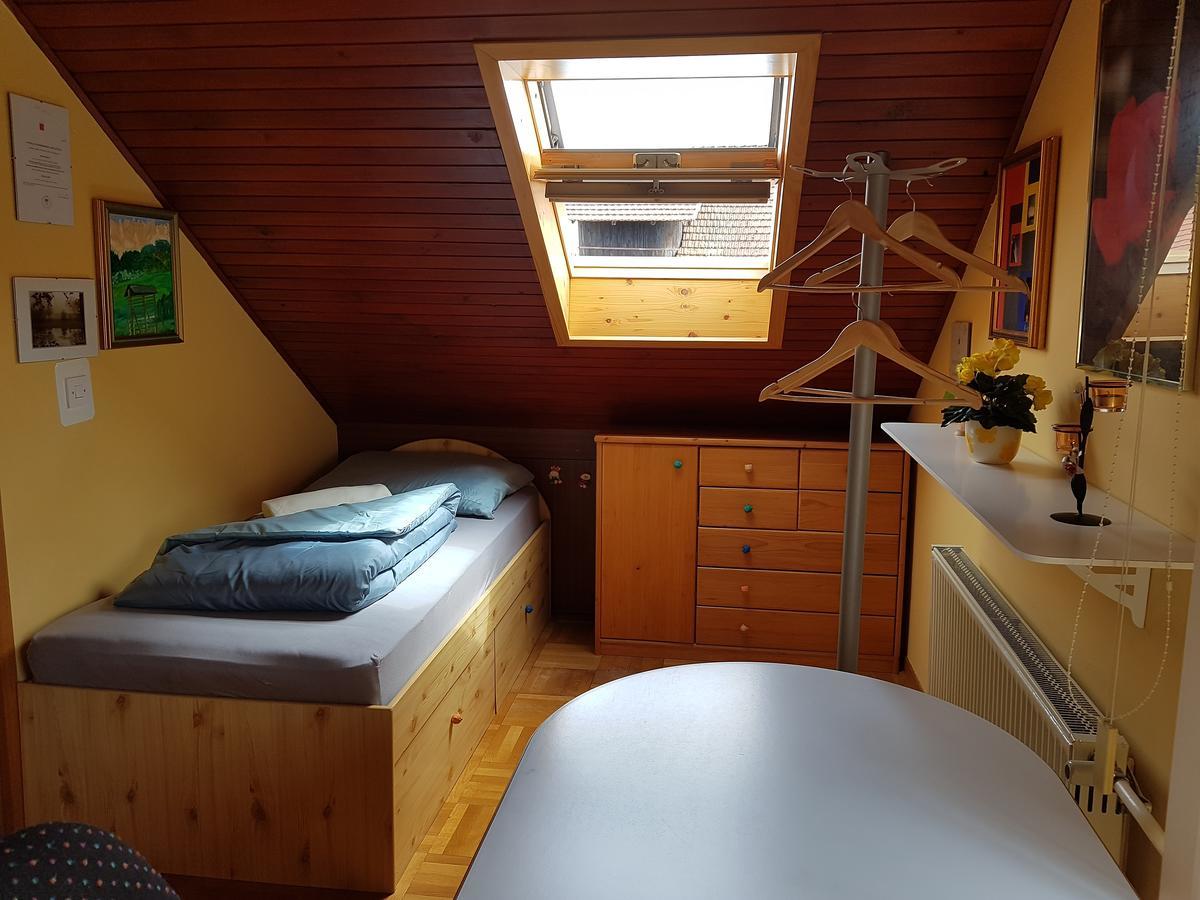 Apartment Manca Lublana Zewnętrze zdjęcie