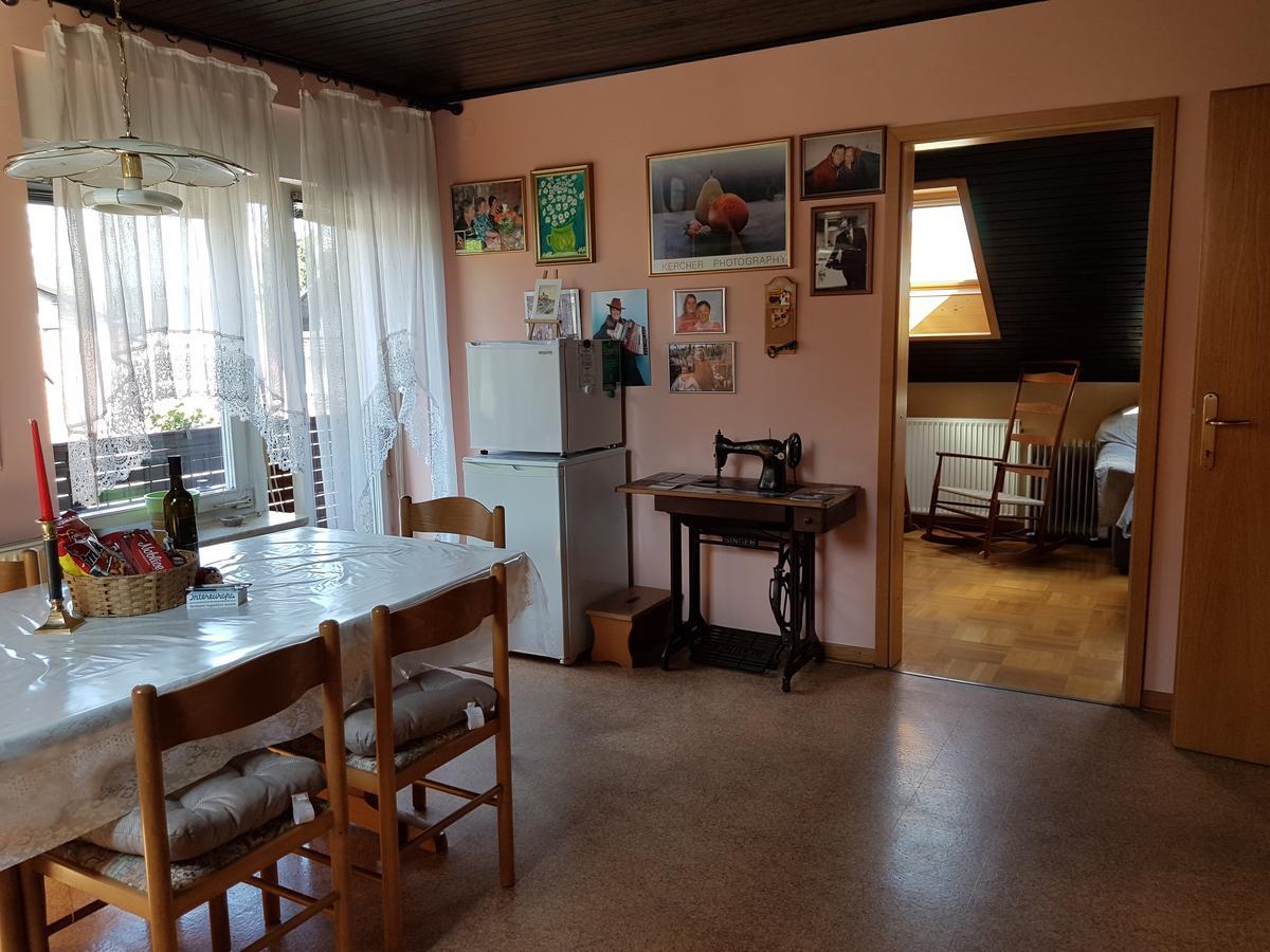 Apartment Manca Lublana Zewnętrze zdjęcie
